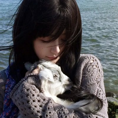 彩叶草之梦