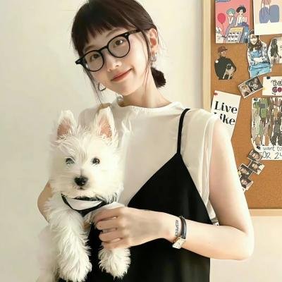 中华英雄粤语